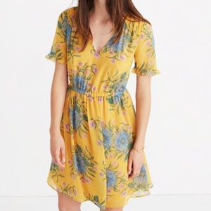 Madewell Sweetgrass Ruffle Dress
